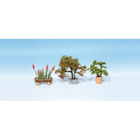 Plantas ornamentales. NOCH 14020