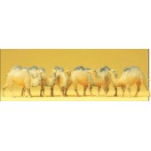 Camels. PREISER 20383