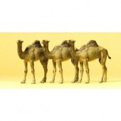 Camellos. PREISER 20397