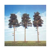 Tres pinos silvestres de 150 mm. ANESTE 561