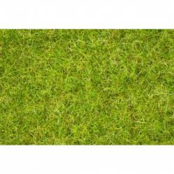 Master grass blend, summer meadow. NOCH 07076