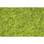 Master grass blend, summer meadow. NOCH 07077