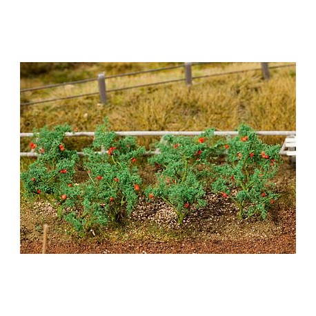 18 plantas de tomate. FALLER 181259