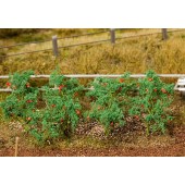 18 plantas de tomate. FALLER 181259