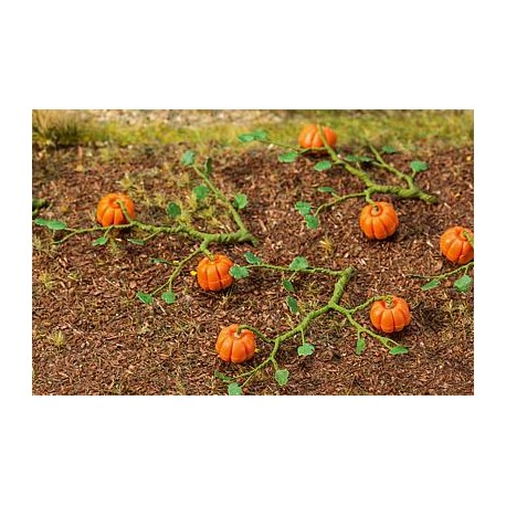 6 plantas de calabaza. FALLER 181258