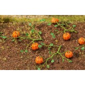 6 plantas de calabaza. FALLER 181258