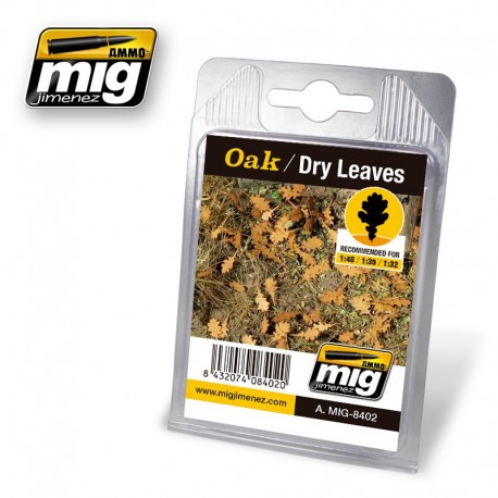 Oak, dry leaves. AMIG 8402