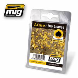 Lime, dry leaves. AMIG 8405