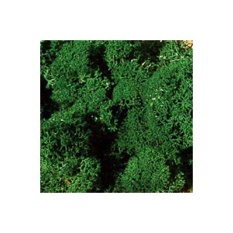 Icelandic moss, green. HEKI 3211