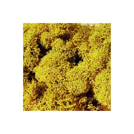 Icelandic moss, yellow. HEKI 3215