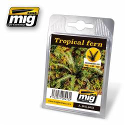 Plantas: Helechos tropicales. AMIG 8453