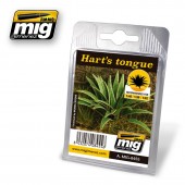 Plants: Hart's Tongue. AMIG 8455