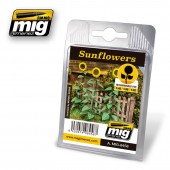 Sunflowers. AMIG 8458