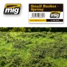 Small bushes, spring.  AMIG 8360