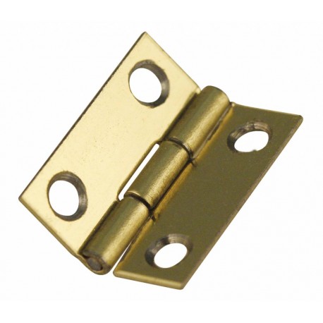 Working hinges 20 x 10 mm (x5).