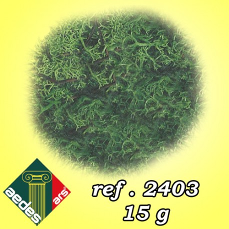 Musgo verde. AEDES 2403