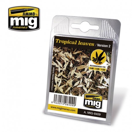 Hojas tropicales. AMIG 8409