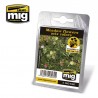 Meadow flowers mix colors. AMIG 8460