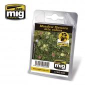 Meadow flowers mix colors. AMIG 8460