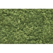 Foliage light green. WOODLAND F51