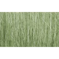 Hierba alta color verde claro. WOODLAND FG173