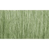 Hierba alta color verde claro. WOODLAND FG173