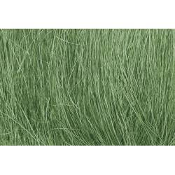 Field grass. WOODLAND FG174