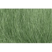 Field grass. WOODLAND FG174