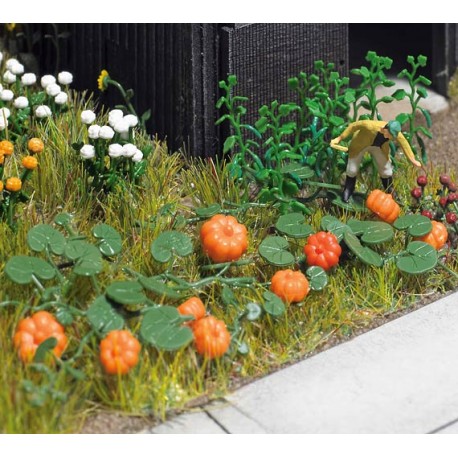 Calabazas, pepinos y lechugas. BUSCH 8101