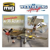 Das Flugzeug des Weathering Magazine: Eagles...