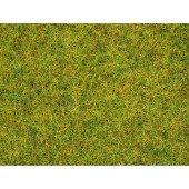 Scatter grass, 2,5 mm.