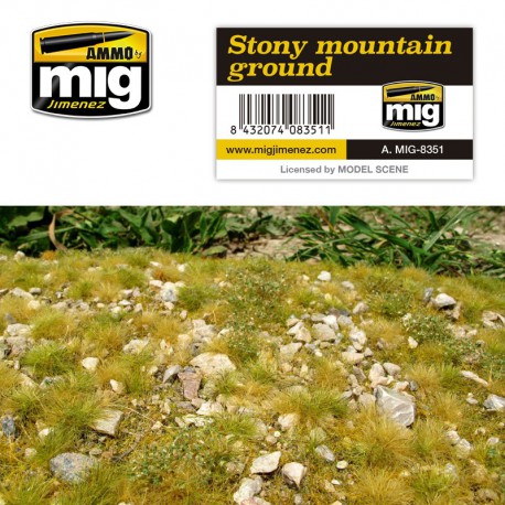 Stony mountain ground