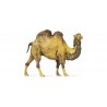 Camel.