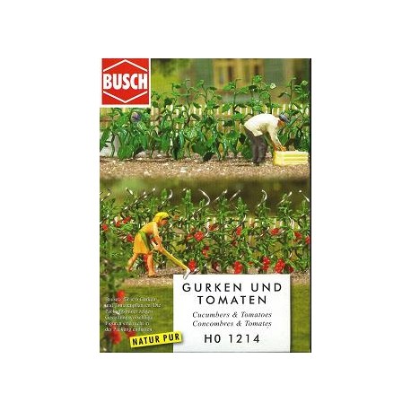 Plantas de huerta: tomates y pepinos. BUSCH 1214