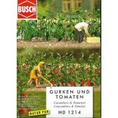 Plantas de huerta: tomates y pepinos. BUSCH 1214