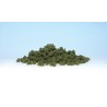 Bushes clump foliage olive green. WOODLAND FC144