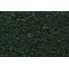 Foliage dark green. WOODLAND F53