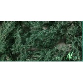 Groundcover evergreen, bright. SILHOUETTE 993-22S