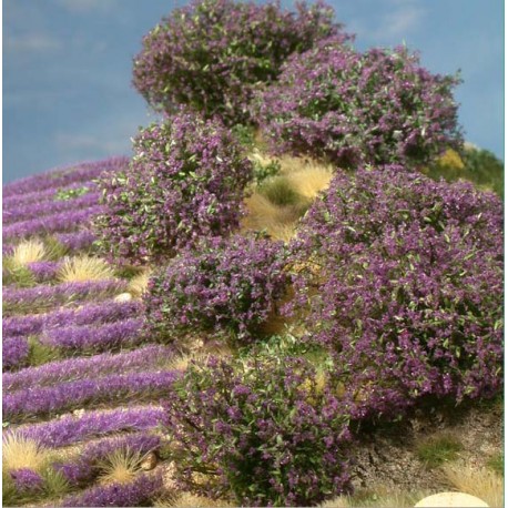 Planta arbustiva en tonos violetas. SILHOUETTE 253-06