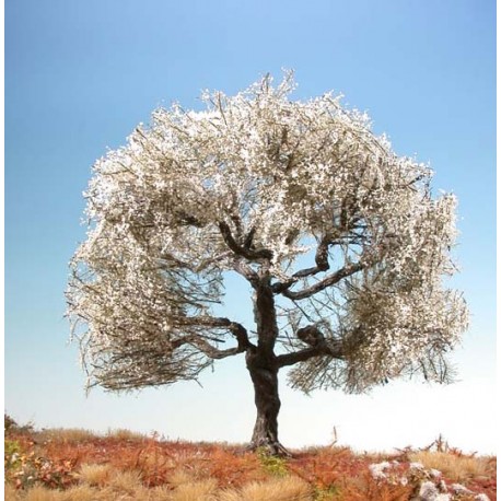 Cherry tree. SILHOUETTE 227-11