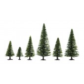 50 model spruce trees.