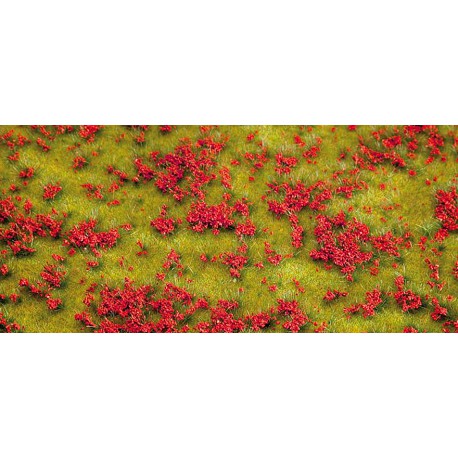 Pradera con flores rojas.