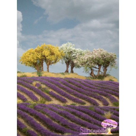 Plantas arbustivas en varios colores. SILHOUETTE 251-05