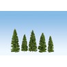 Fir trees, dark green.