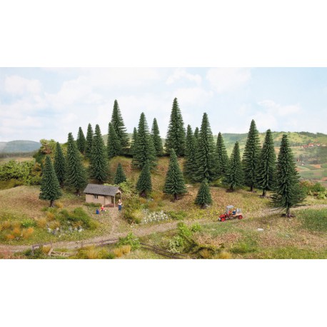 50 model spruce trees.