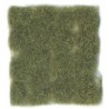 Wild tuft, dry green (12mm).