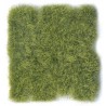 Wild tuft, jungle green (12mm).