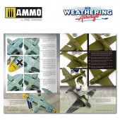 The Weathering Magazine Aircraft: Rarezas.