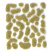 Matas silvestres, beige (2mm).