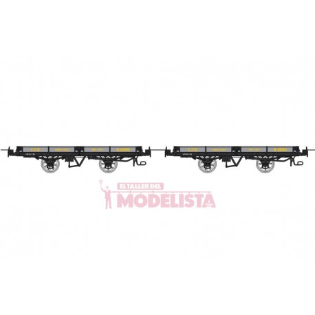 Set flat wagons, Hv 6596 + 6600.